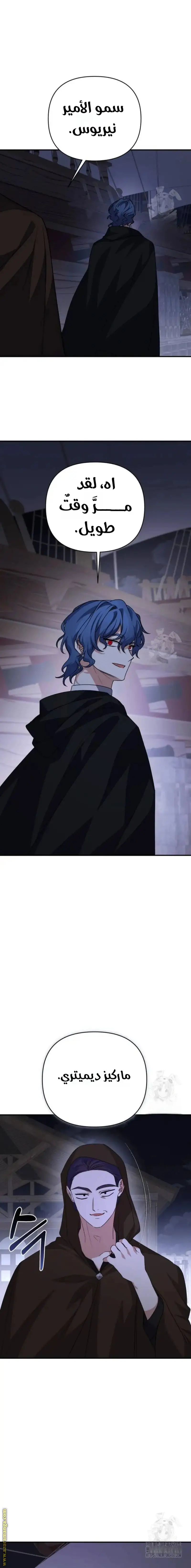 الصفحة 19