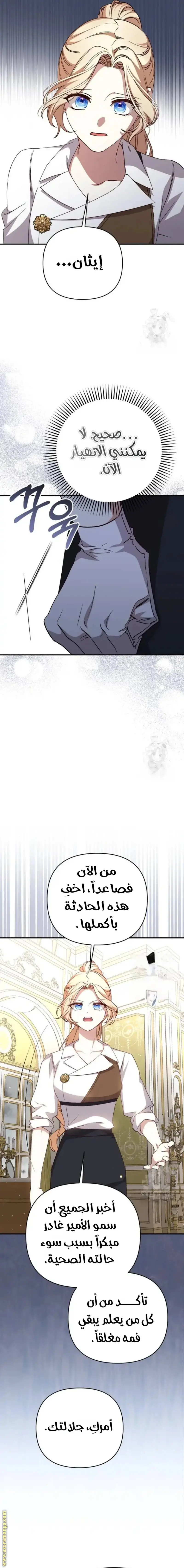 الصفحة 11