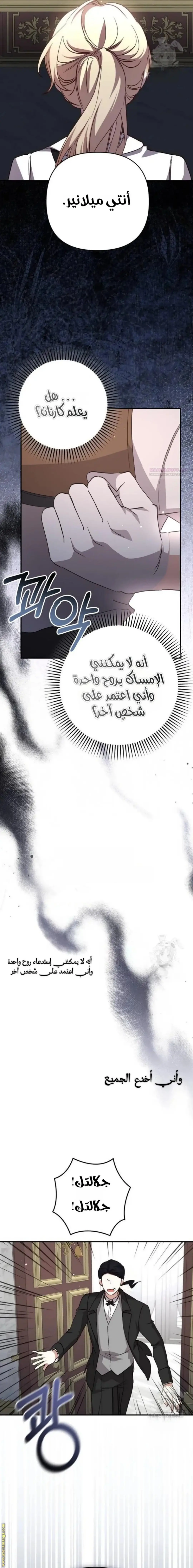 الصفحة 19