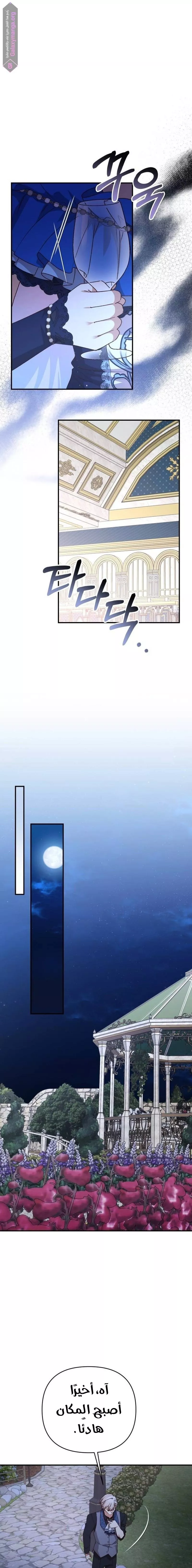 الصفحة 19