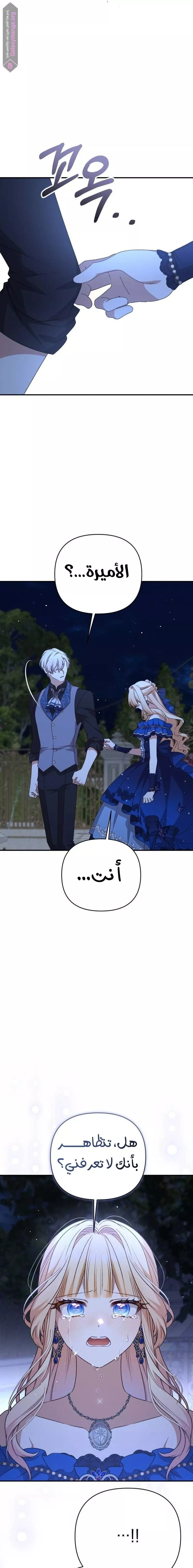الصفحة 21