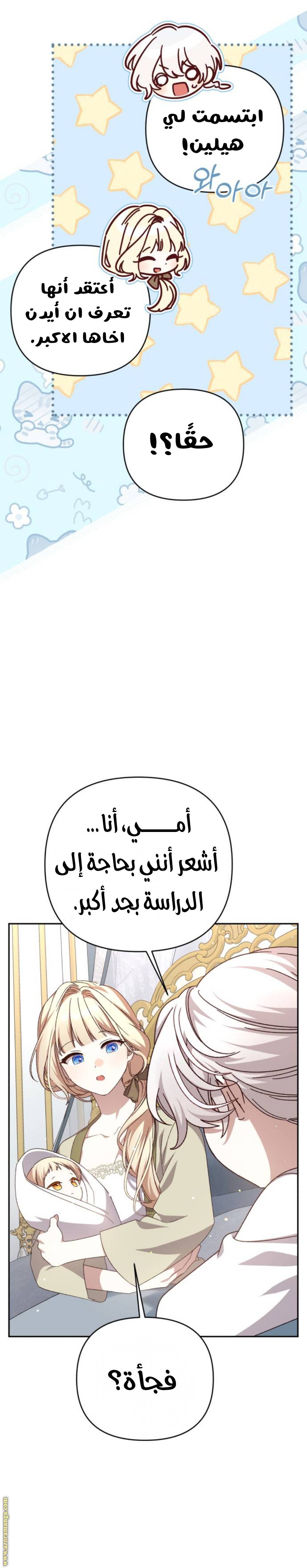 الصفحة 17