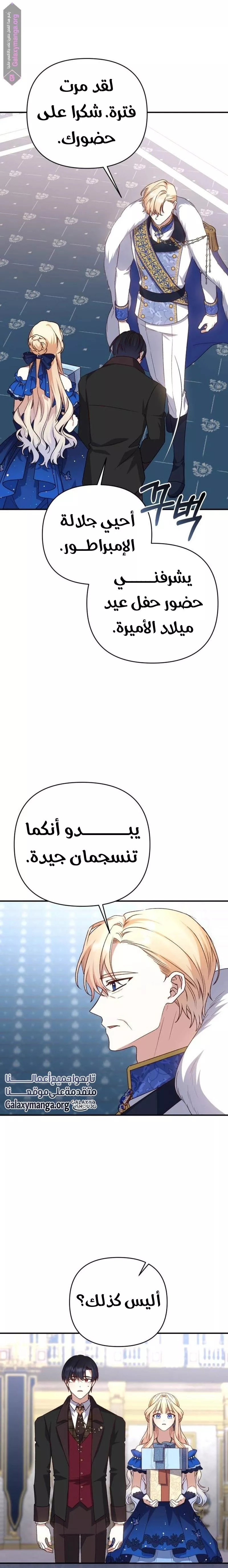 الصفحة 17