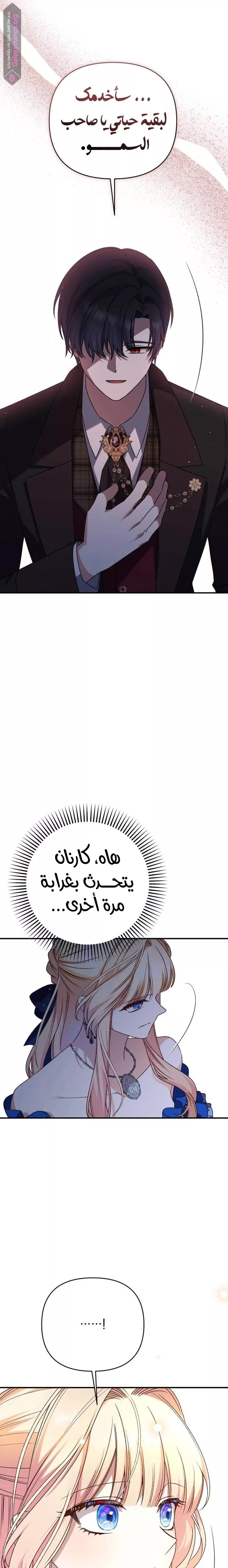الصفحة 22