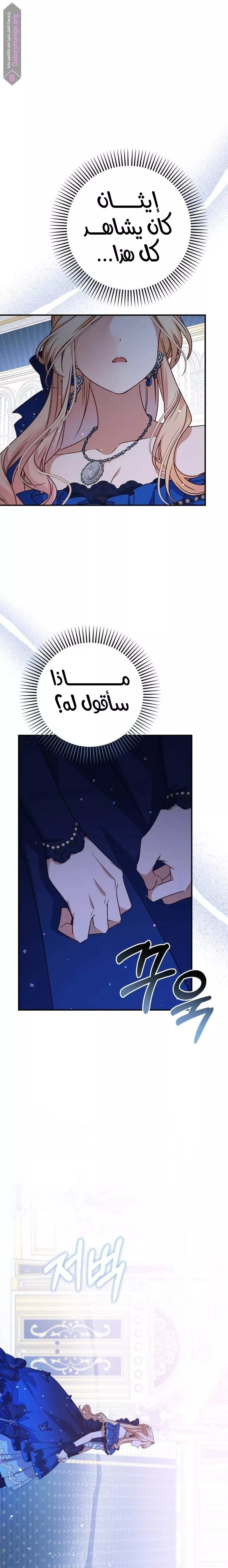 الصفحة 24