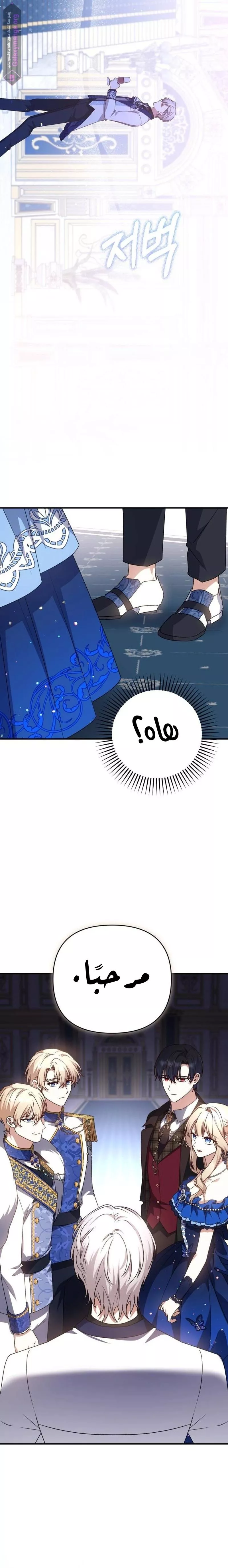الصفحة 25