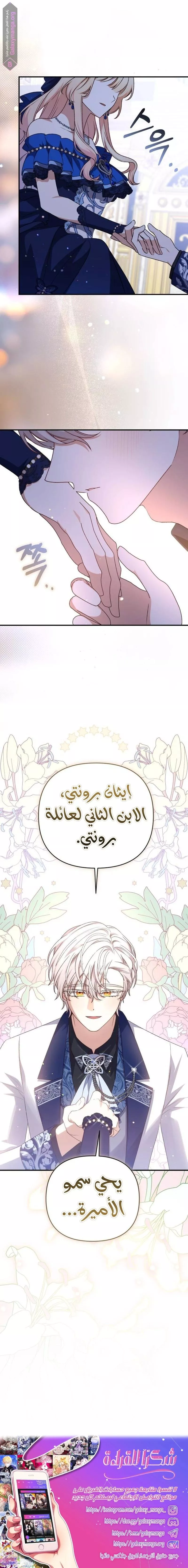 الصفحة 26