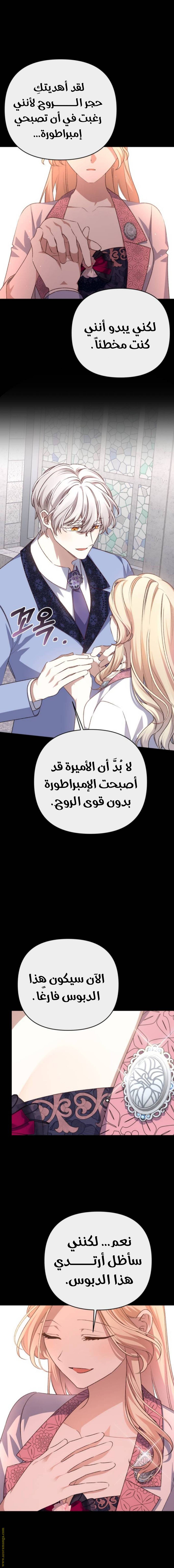 الصفحة 13