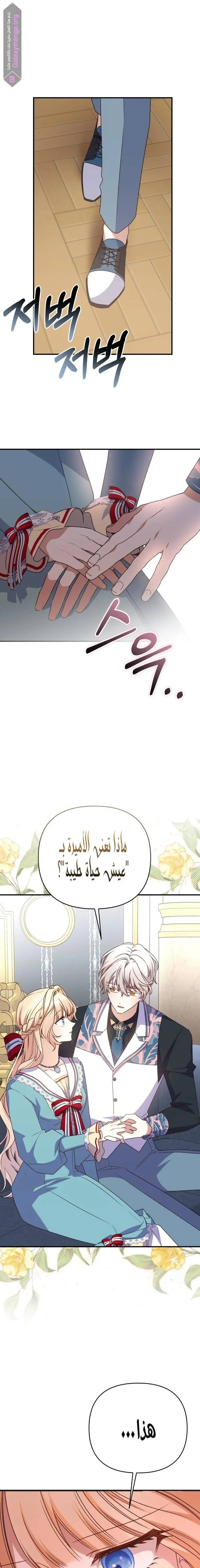 الصفحة 8
