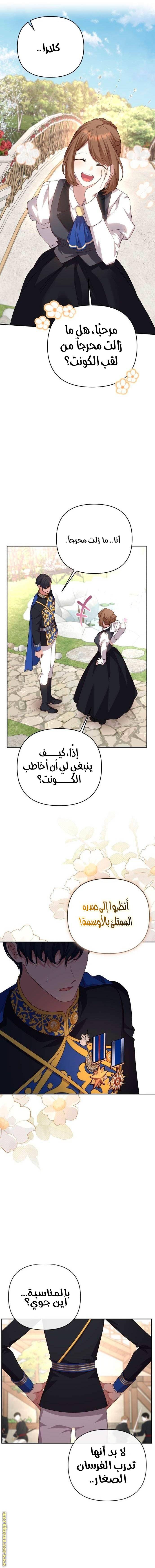 الصفحة 11
