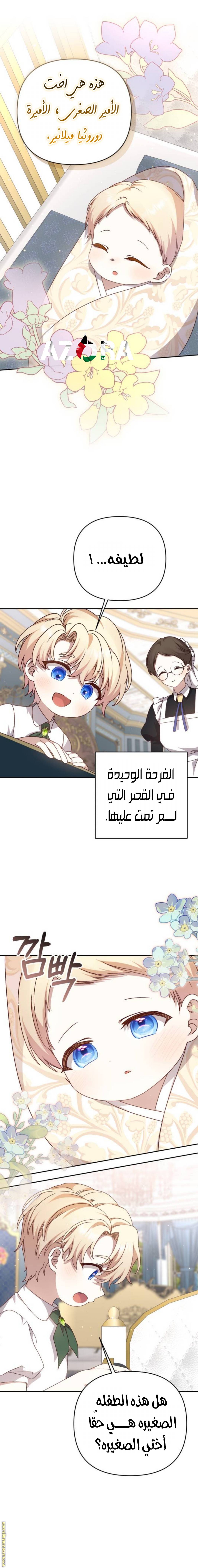 الصفحة 3