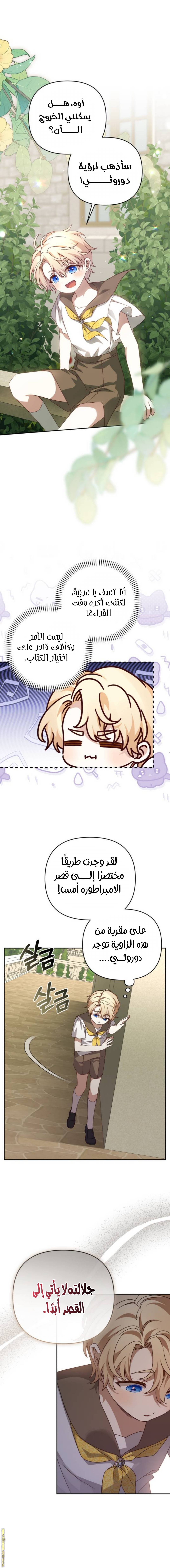الصفحة 6