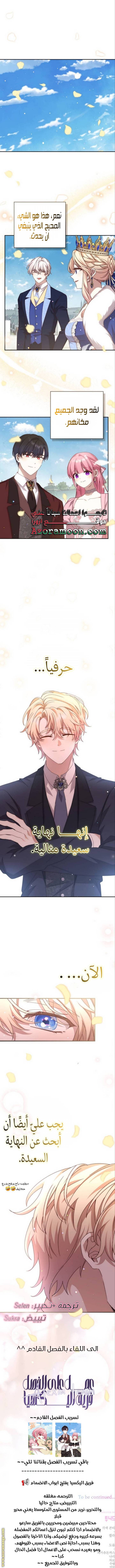 الصفحة 17