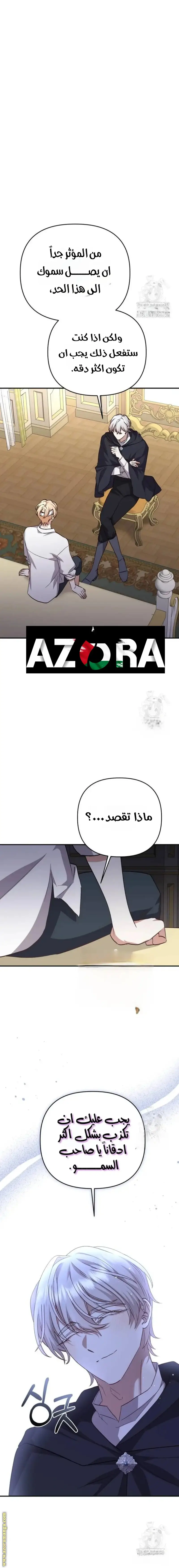 الصفحة 3