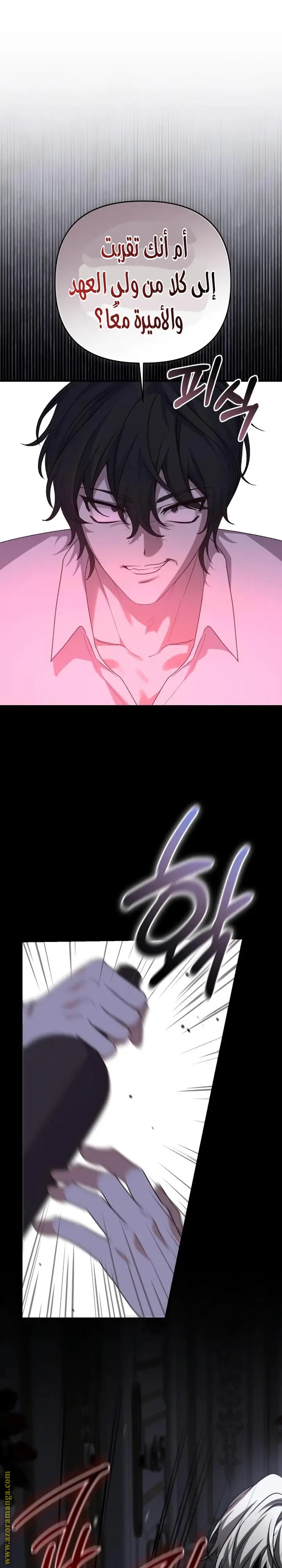الصفحة 12