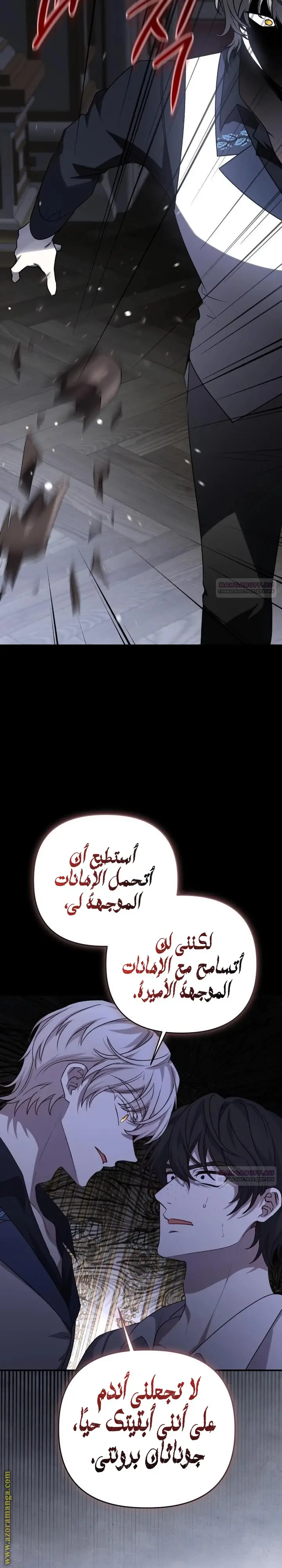 الصفحة 13