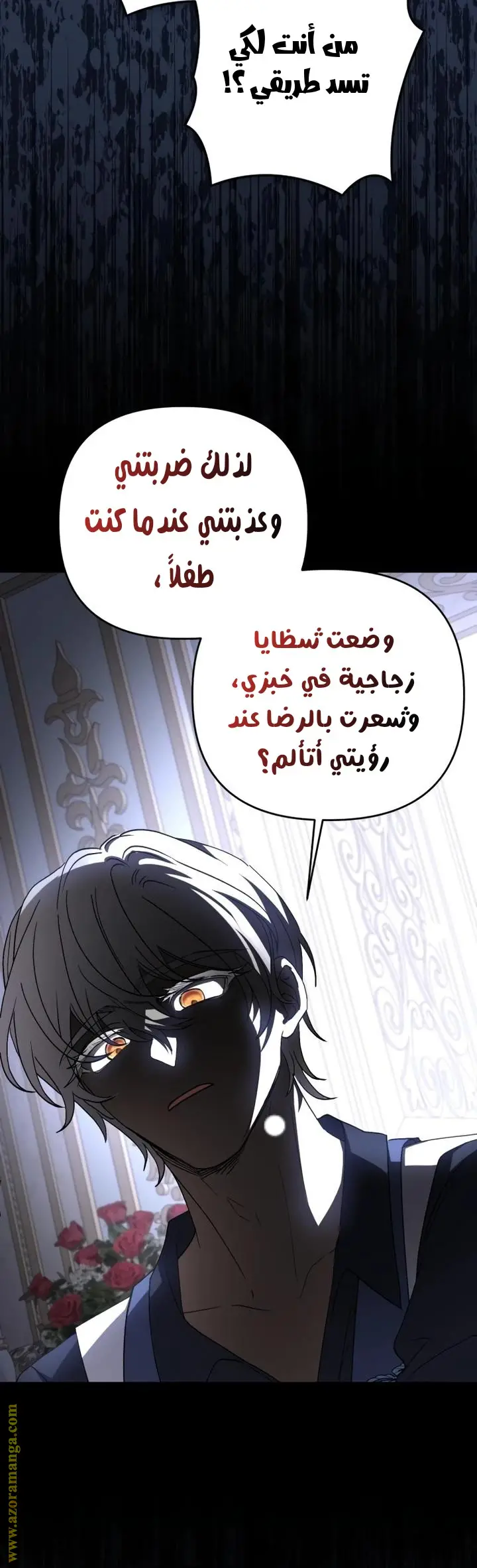 الصفحة 16