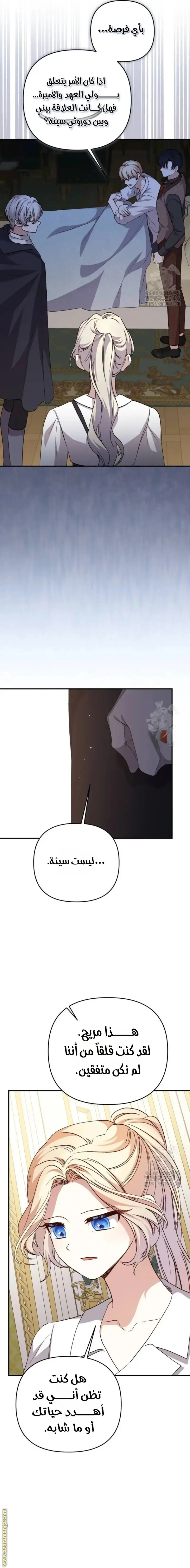 الصفحة 13