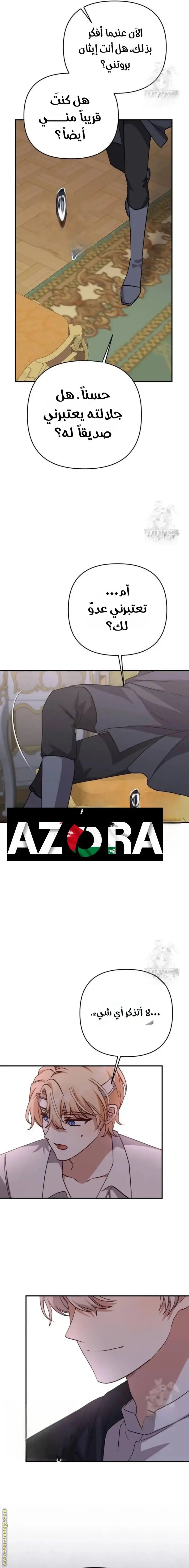 الصفحة 17