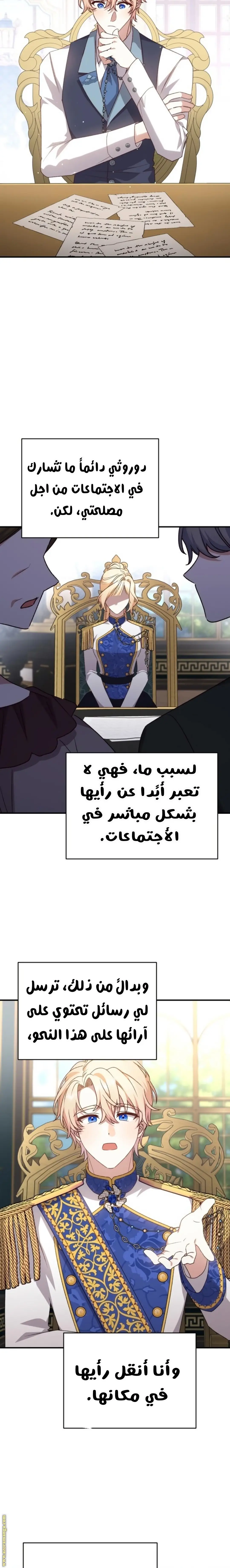 الصفحة 13
