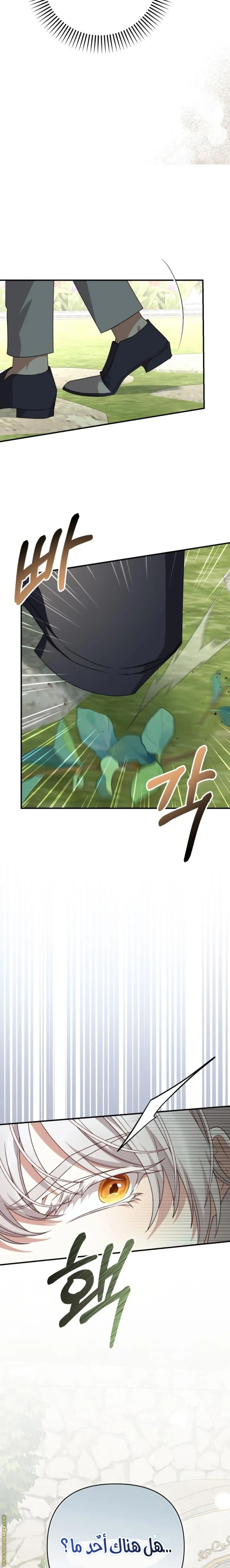 الصفحة 20