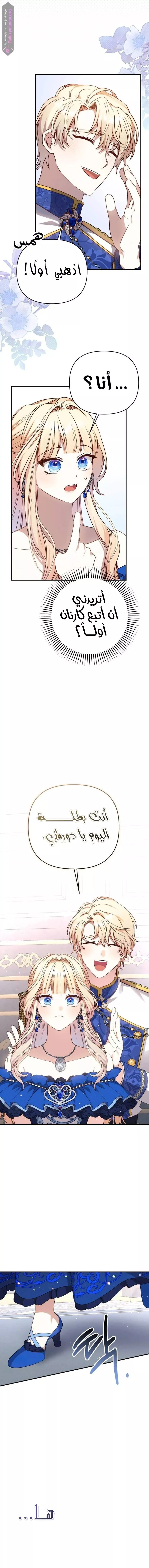 الصفحة 13