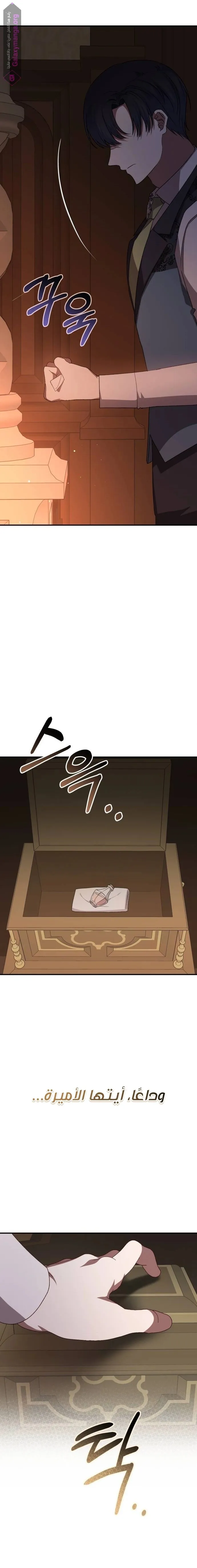 الصفحة 26