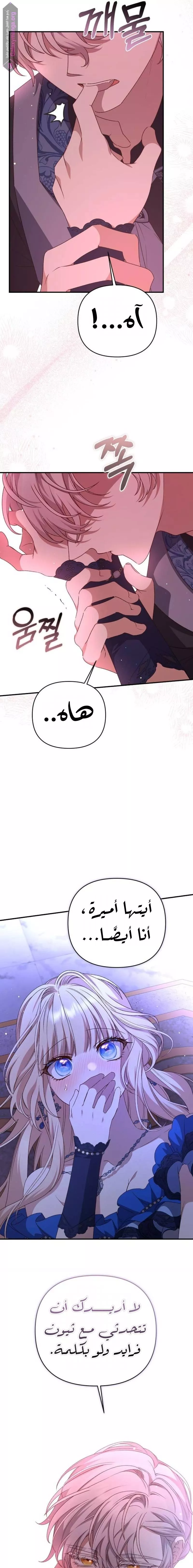 الصفحة 20