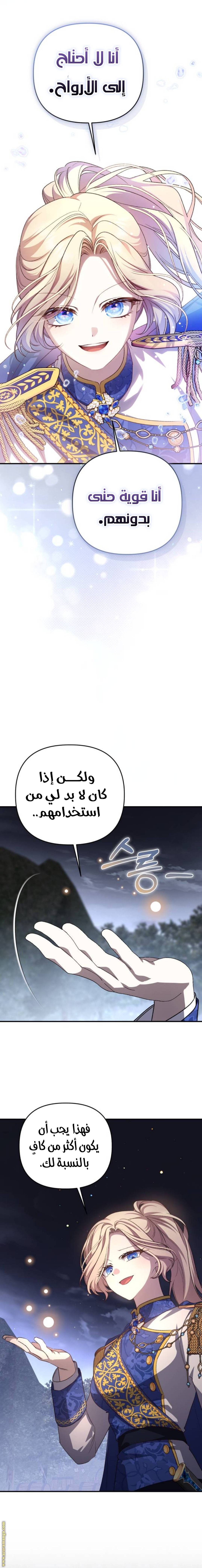 الصفحة 12