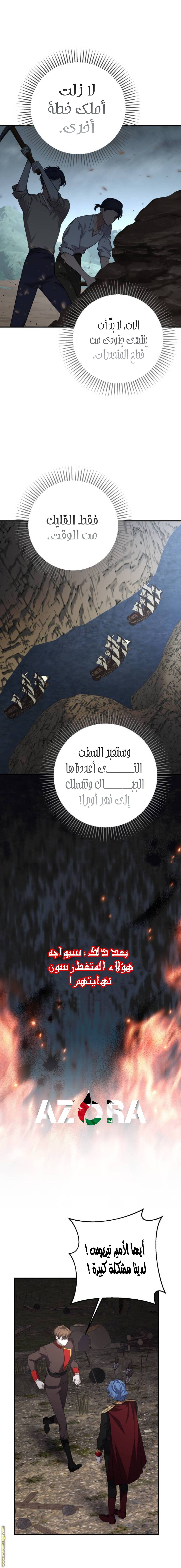 الصفحة 14