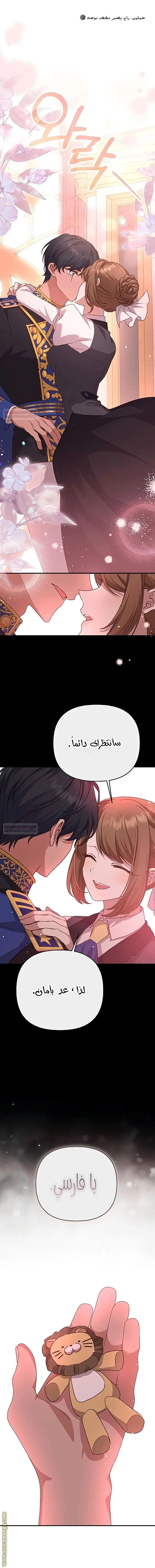 الصفحة 11