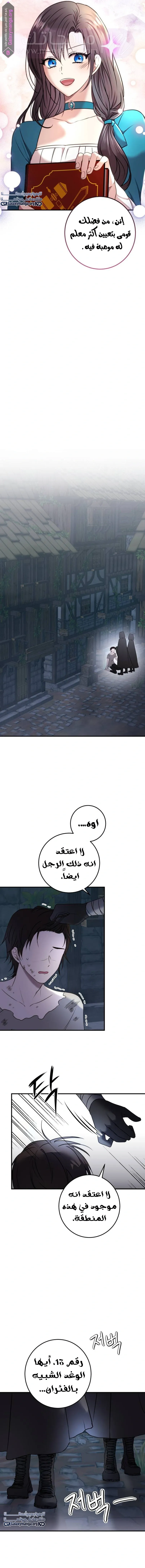 الصفحة 13