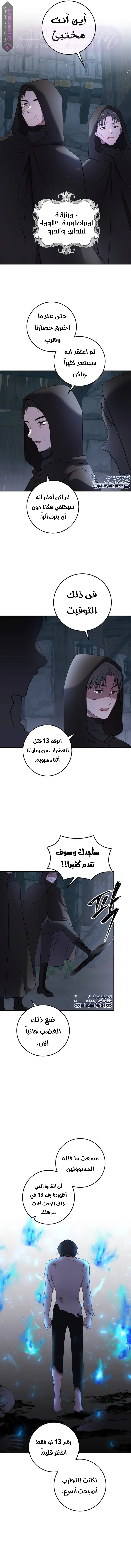 الصفحة 14