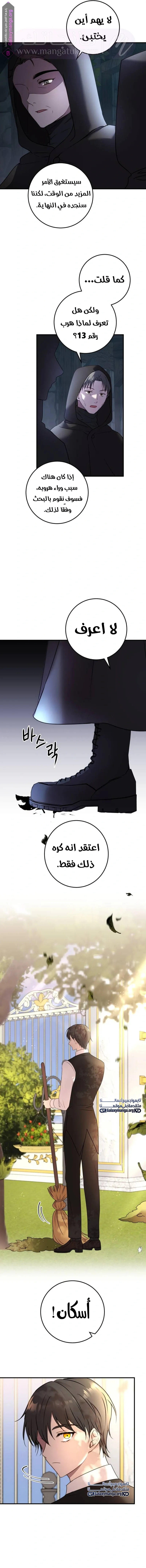 الصفحة 16