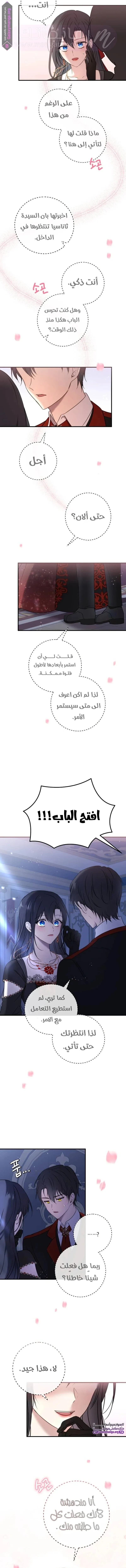 الصفحة 13
