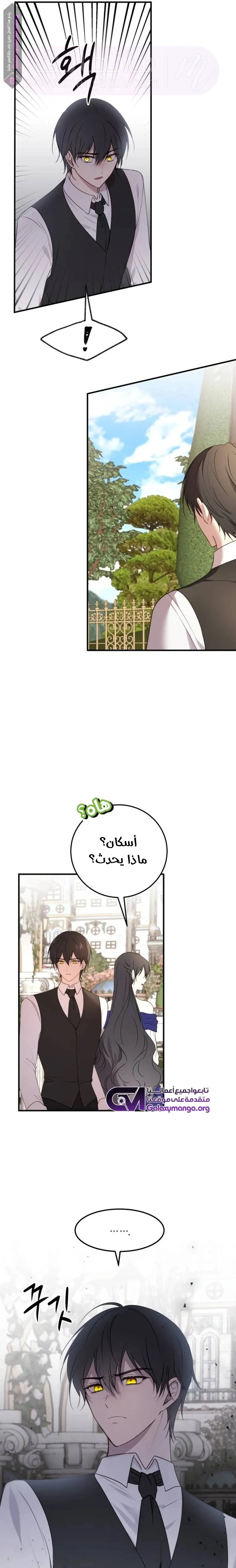 الصفحة 13