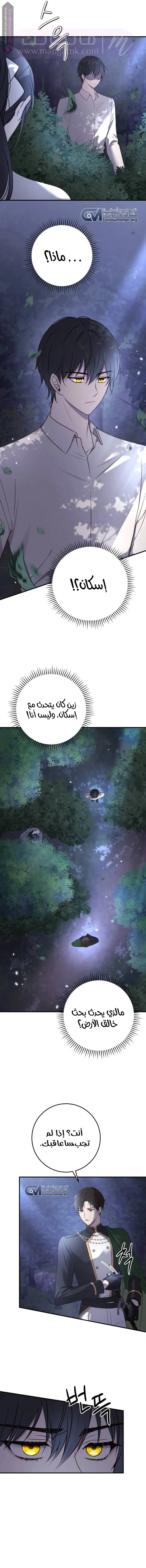 الصفحة 13