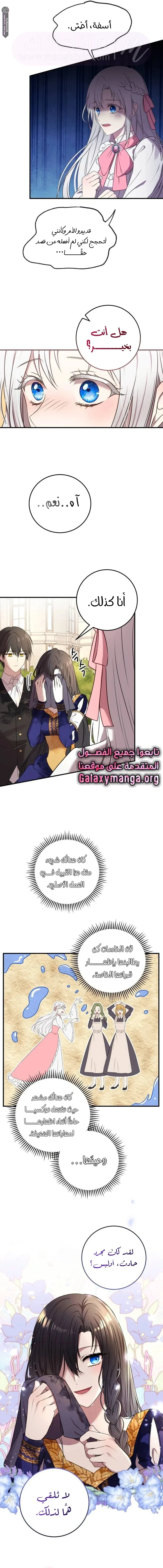الصفحة 13