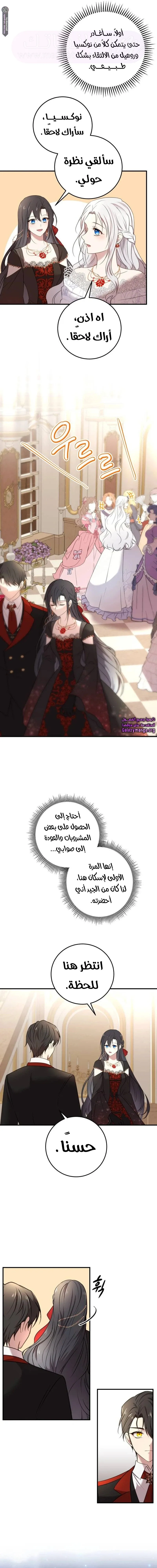 الصفحة 11