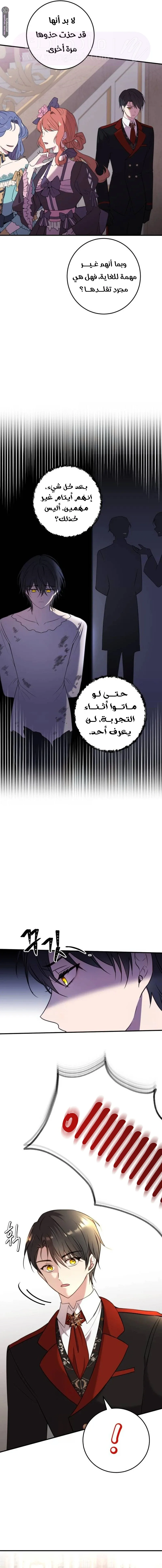 الصفحة 13