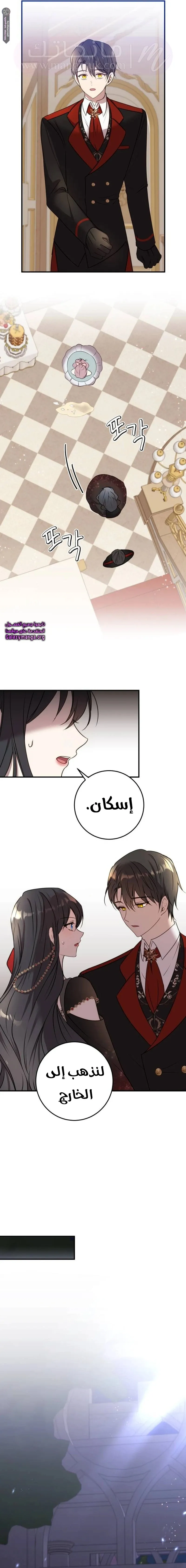 الصفحة 15