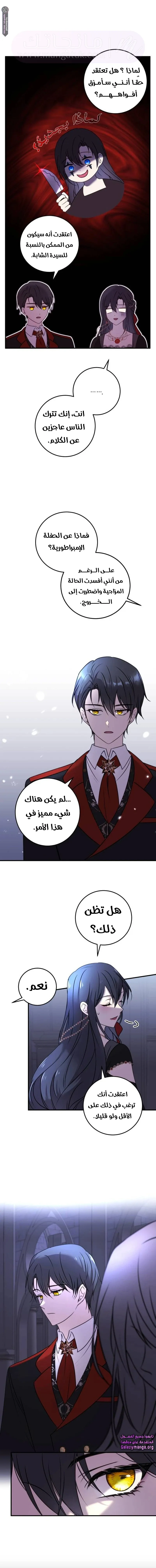 الصفحة 17