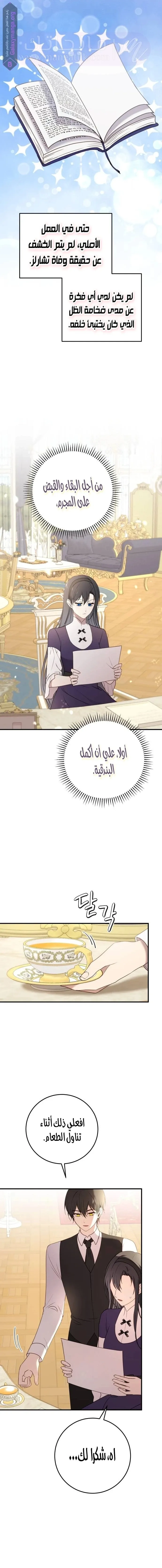 الصفحة 15