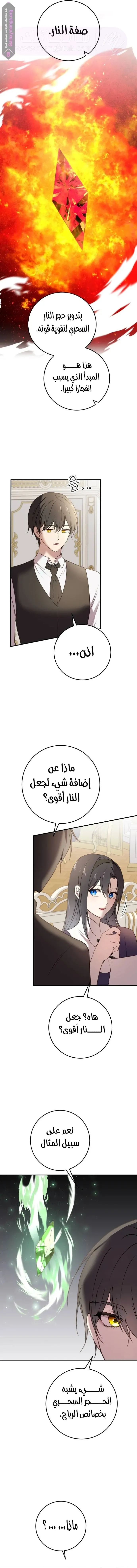 الصفحة 17