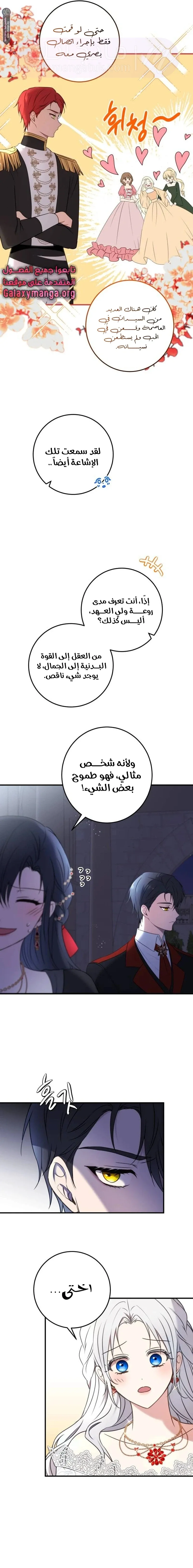 الصفحة 14