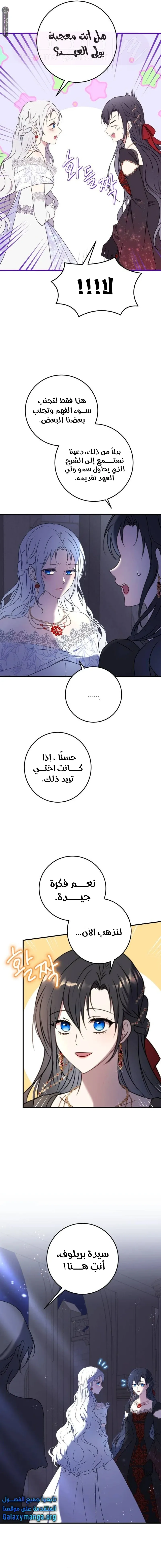 الصفحة 15