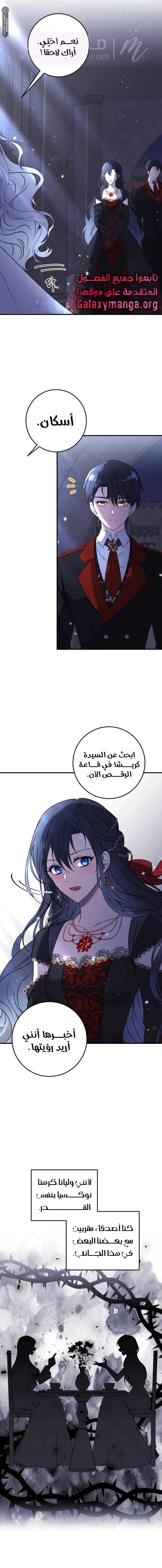 الصفحة 19