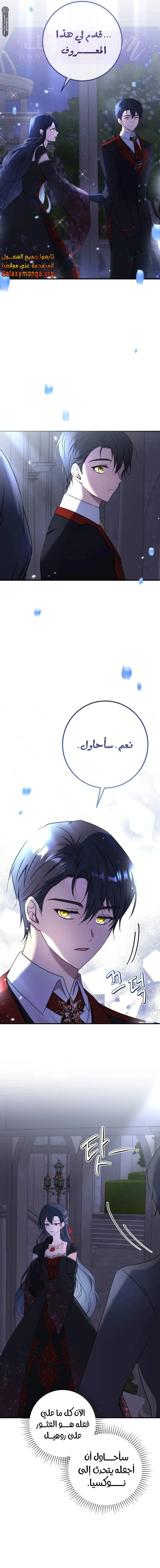الصفحة 21