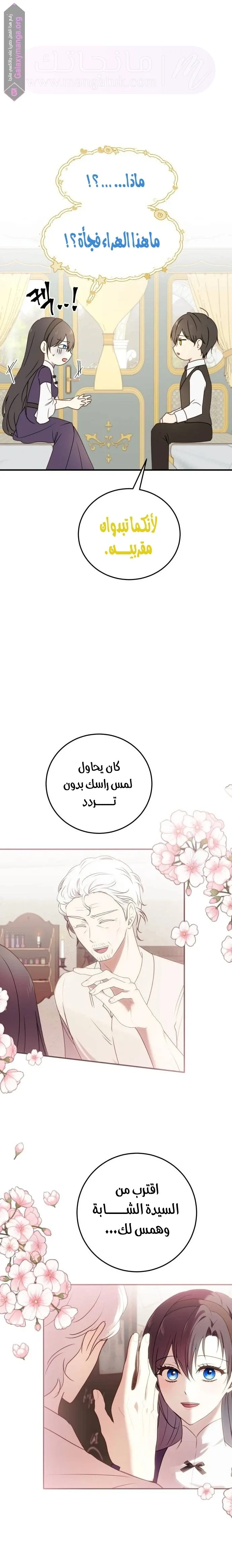 الصفحة 19