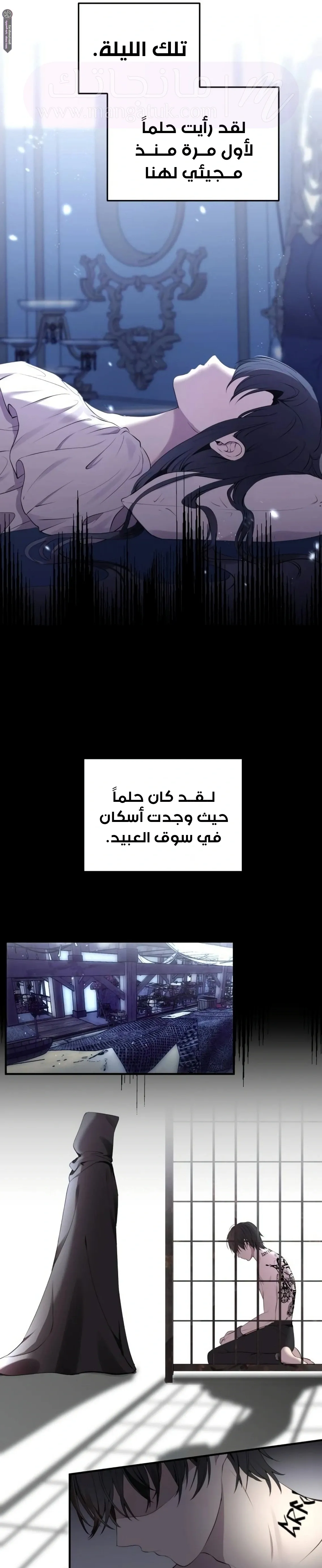 الصفحة 13
